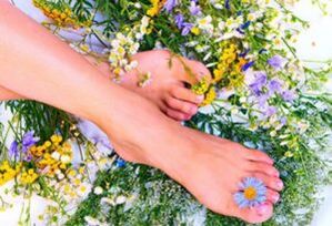 medicinal herbs are effective in the initial stages of varicose veins